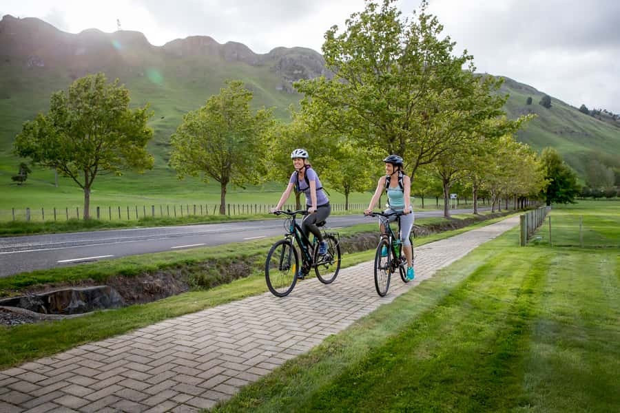 Napier: Cape Coast Winery Tour on E-Bikes - Key points to know before booking
