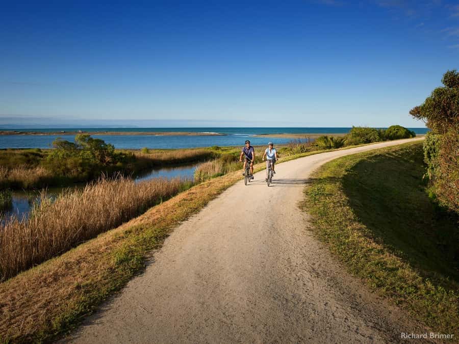 Napier: Cape Coast Winery Tour on E-Bikes - Why this e-bike wine tour works so well
