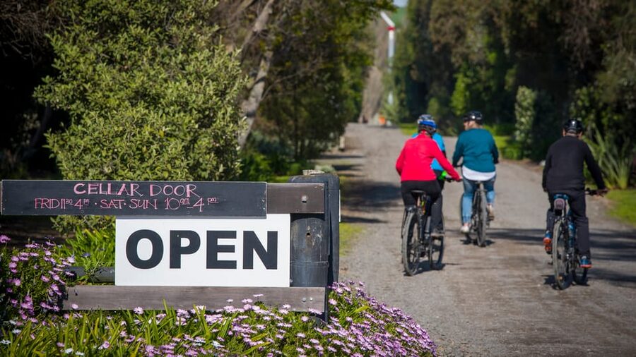 Napier: Cape Coast Winery Tour on E-Bikes - What is included, and what costs extra