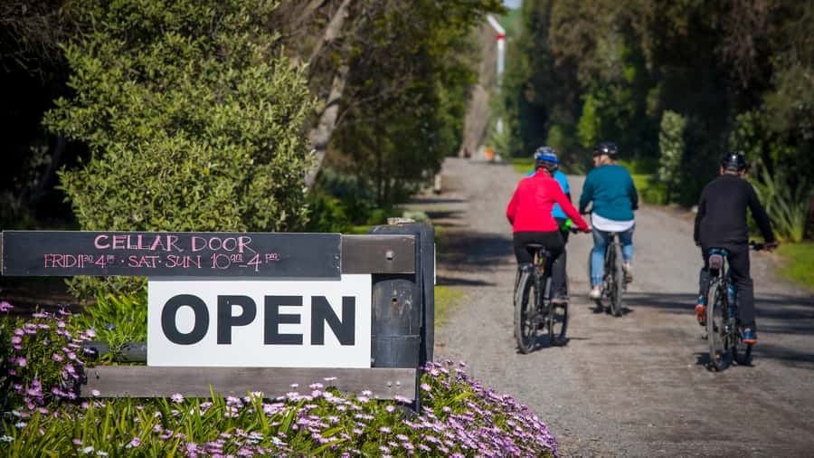 Napier: Cape Coast Winery Tour on E-Bikes - Who should book this day?