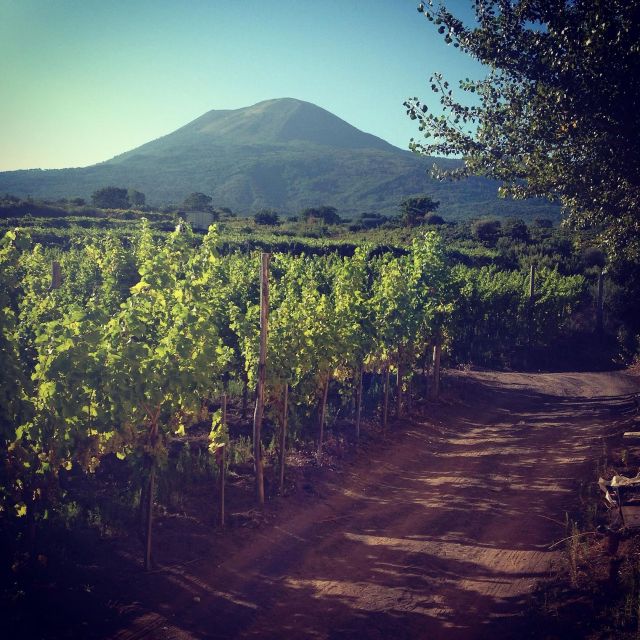 Naples: Mount Vesuvius Vineyard Tour w/ Lunch & Wine Tasting - How long should you allow?
