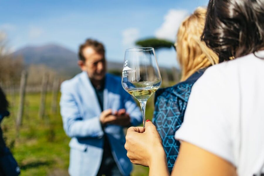 Naples: Pompeii and Mt. Vesuvius with Lunch and Wine Tasting - Pickup from Naples and the ride south