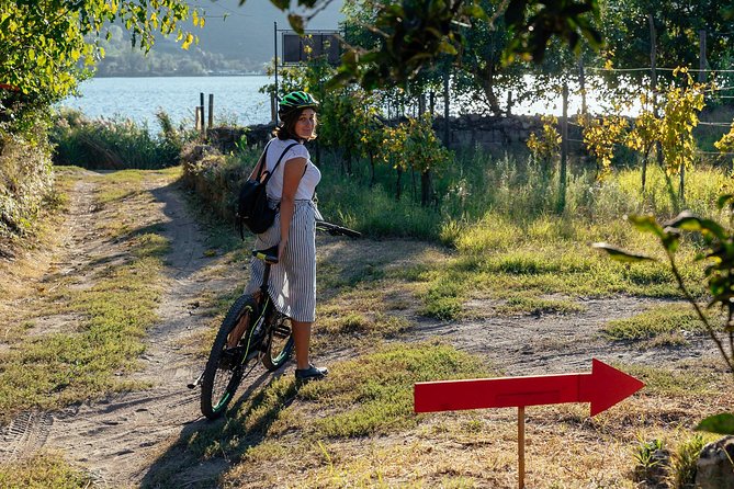 Naples Scenic E-Bike Ride to a Local Vineyard with Meal - Roman Pozzuoli: the Macellum and Flavian Amphitheater