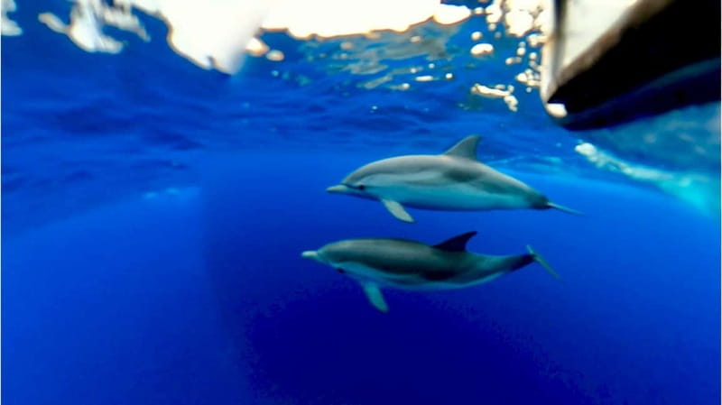 Naxos: Taormina Boat Tour with Snorkeling and Prosecco - Sunset, Mount Etna, and a chance of dolphins