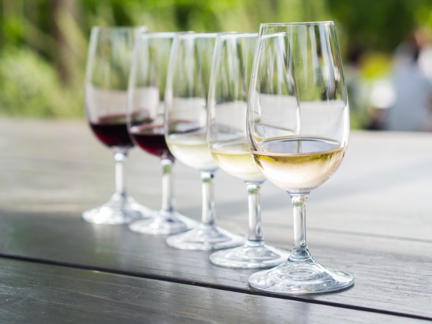 Naxos: Wine and Mythology Sunset Tour - The Venetian cellar wine tasting
