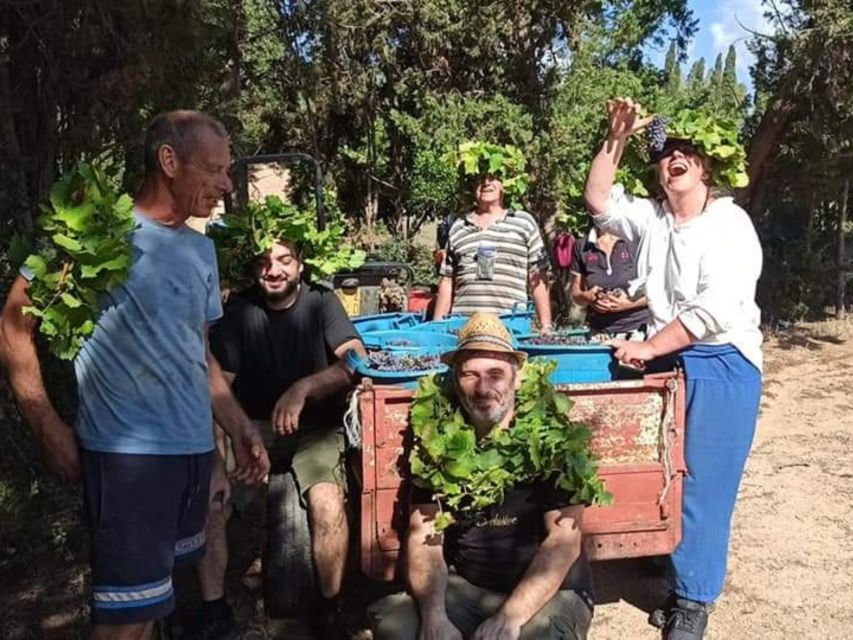 Near Cagliari: The World of Natural Wine at "In Our Garden" - Herbs, grape-leaf water, and the wider farm