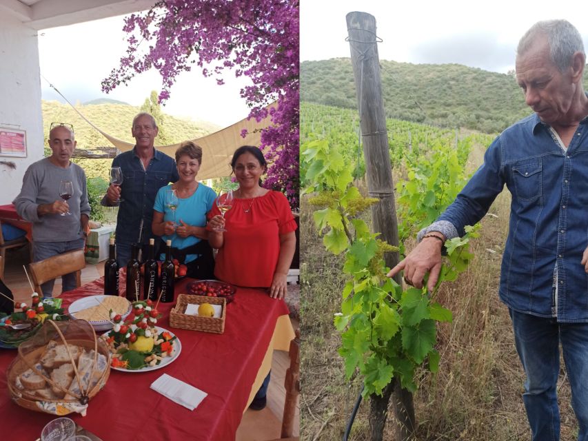 Near Cagliari: The World of Natural Wine at "In Our Garden" - A Sardinian merenda under the trees
