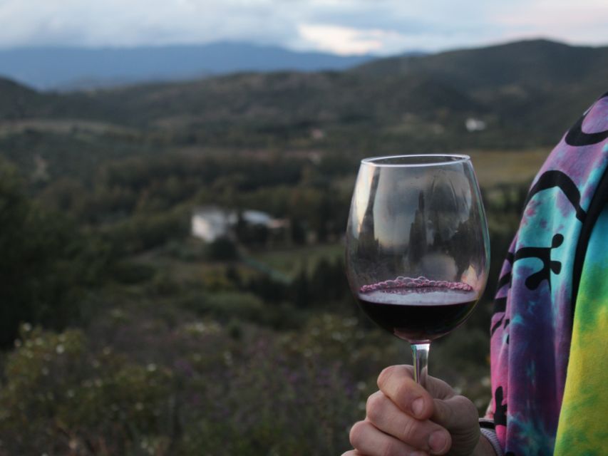 Near Cagliari: The World of Natural Wine at "In Our Garden" - What $53 buys you