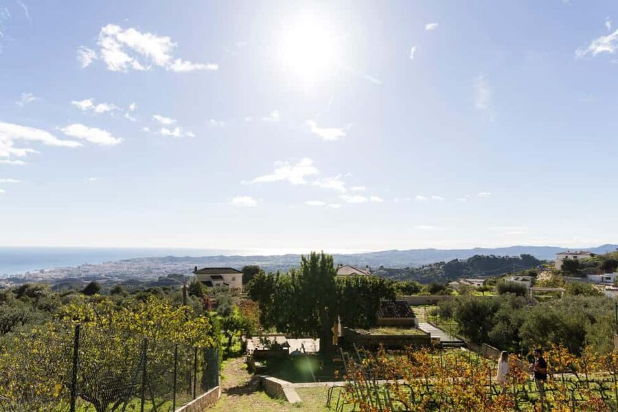 Near Malaga: Mijas Organic Vineyard, 5 Wines, 2 Oils & Tapas - A small organic vineyard above the Costa del Sol