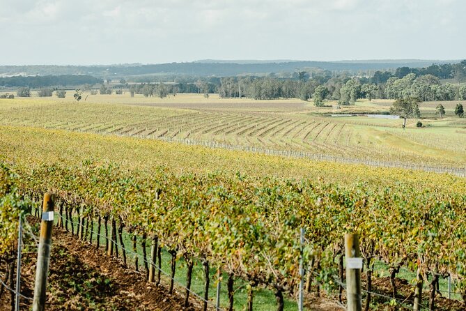 Newcastle: Boutique Hunter Valley Wine Tour - Small Mouth Vodka changes the pace