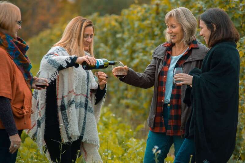 Niagara, Canada: Half-Day Winery Tour with Tastings - A four-hour introduction to Niagara wine country
