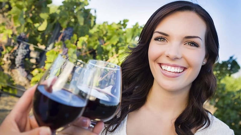 Niagara-on-the-Lake: Sunset Wine Tour with Dinner - Three wineries, three different views of Niagara wine