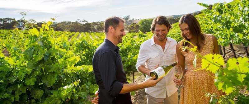 Niagara-on-the-Lake: Sunset Wine Tour with Dinner - The dinner at Havanna Niagara Falls