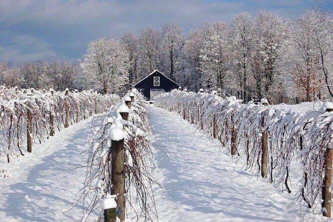 Niagara Wine Tour and Tastings with Transportation - The guide and bus can make or break the day