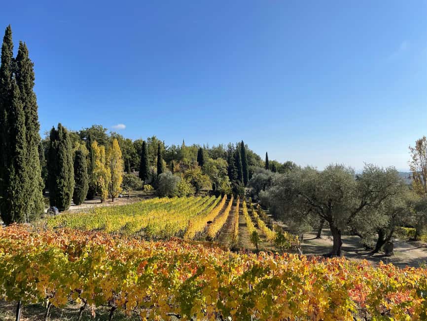 Nice: Full-Day Côtes de Provence Wine Tour - Leaving Nice for the Provence countryside