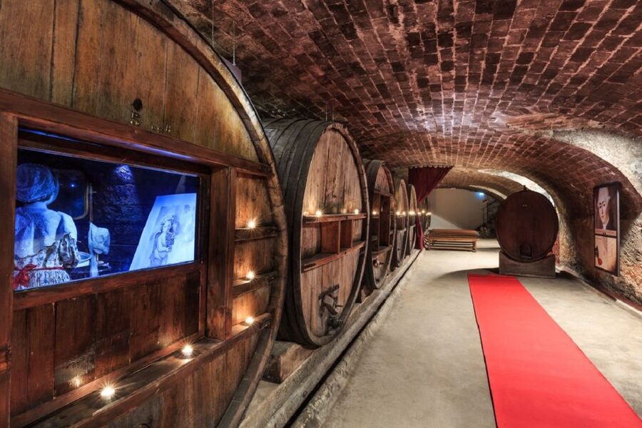 Nice: Full-Day Côtes de Provence Wine Tour - Tasting Provence beyond its famous rosé