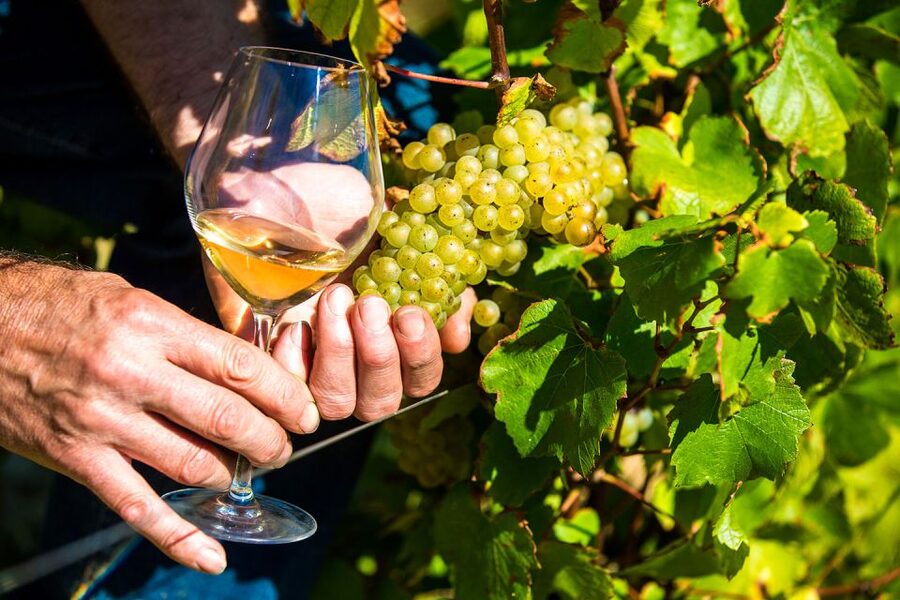 Nice: Provence Village Tour with Wine and Produce Tasting - Why this full day works from Nice