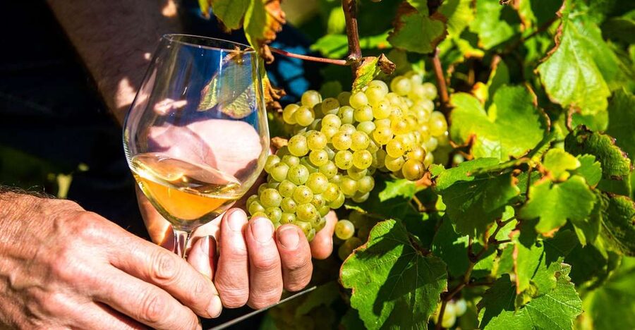 Nice: Provence Village Tour with Wine and Produce Tasting - Gourdon, the high point of the route