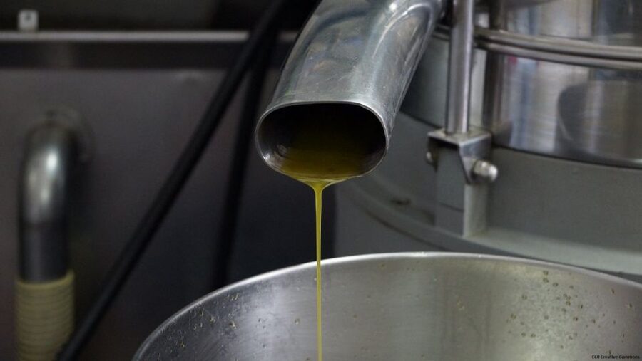 Nice: Provence Village Tour with Wine and Produce Tasting - Opio and the old olive mill