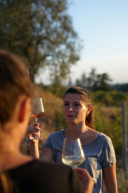 Nice: Vineyard Tour with Wine Tasting - Should you book the Château de Bellet tour?