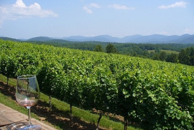 North Georgia Wine Country Tour from Atlanta - Leaving Atlanta for North Georgia wine country