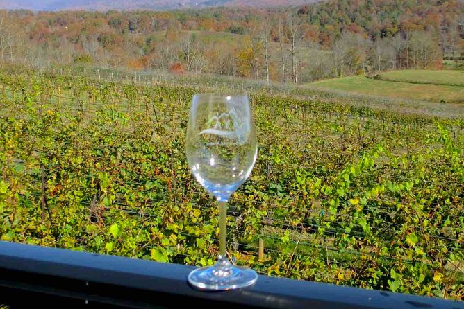 North Georgia Wine Country Tour from Atlanta - Practical advice for enjoying the day