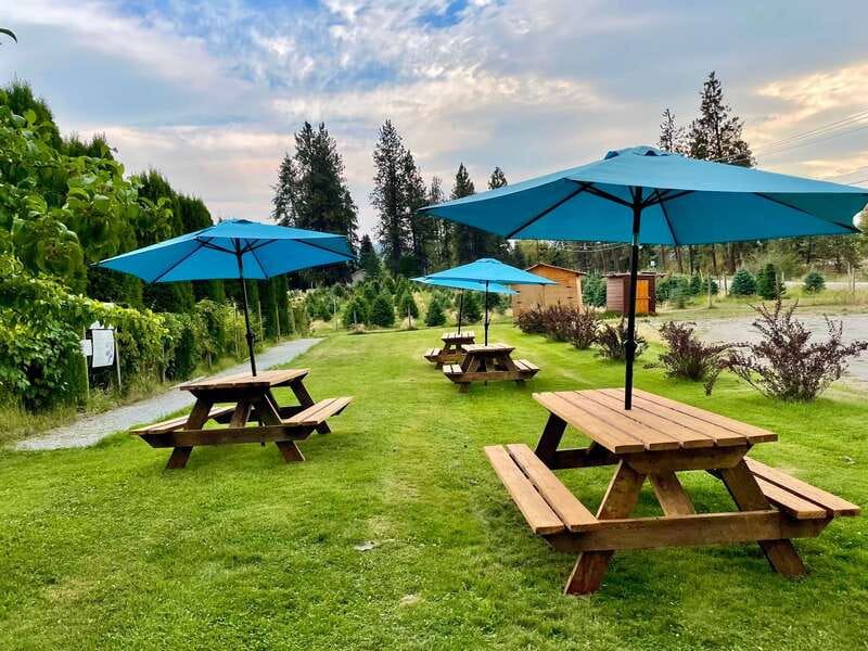 Okanagan Bee Tour, Wine Tasting and Lunch at Kelowna Winery - Timing, arrival, and cancellation details