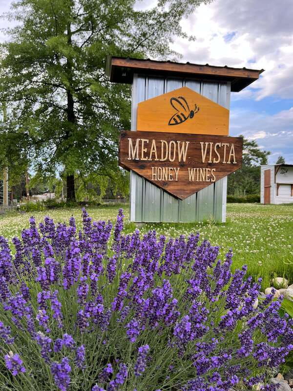 Okanagan Bee Tour, Wine Tasting and Lunch at Kelowna Winery - Should you book the Meadow Vista bee and wine tour?