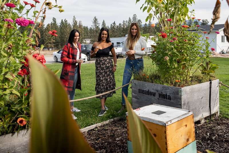 Okanagan Bee Tour, Wine Tasting and Lunch at Kelowna Winery - The 11:30 a.m. bee tour through Meadow Vista