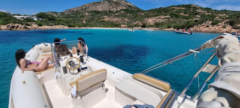 Olbia: Dolphin Watching & Swim with prosecco aperitif - Key points to know before booking