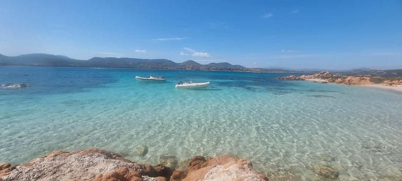 Olbia: Dolphin Watching & Swim with prosecco aperitif - Figarolo dolphins give this Olbia cruise its purpose