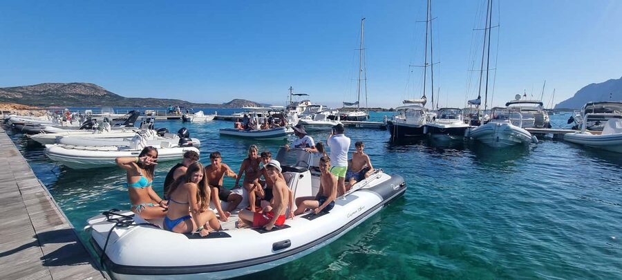 Olbia: Dolphin Watching & Swim with prosecco aperitif - Watching dolphins near the fish farm