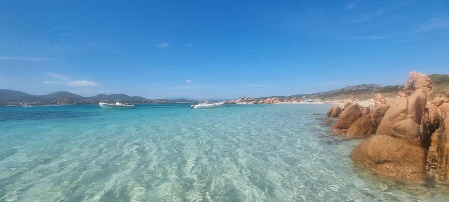 Olbia: Dolphin Watching & Swim with prosecco aperitif - Who will enjoy this most?
