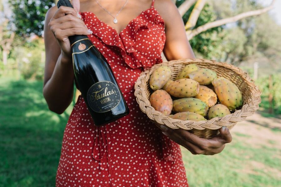 Olbia: Gallura Winery Guided Tour with Tasting - Key points at a glance