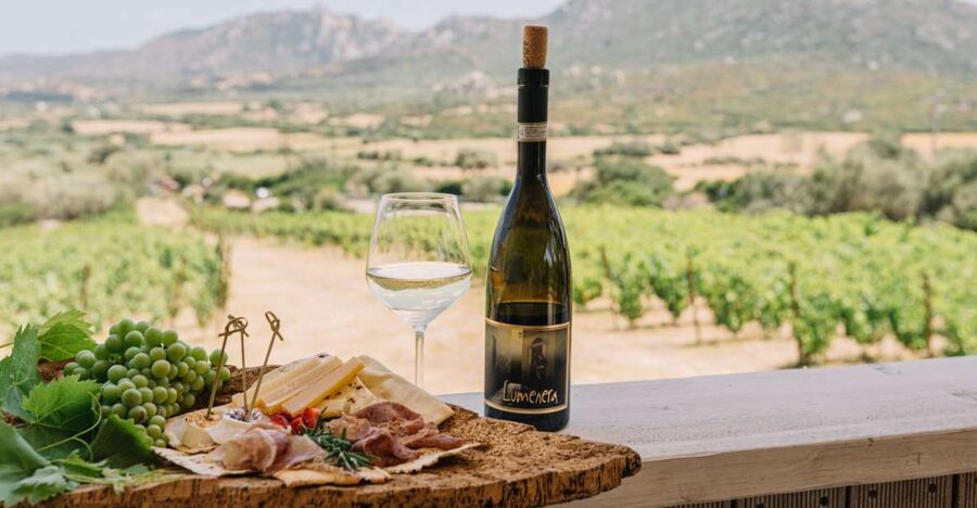 Olbia: Gallura Winery Guided Tour with Tasting - Walking through the Gallura vines