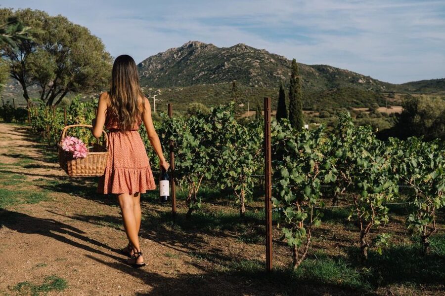 Olbia: Gallura Winery Guided Tour with Tasting - Inside the winery and barrel cellar