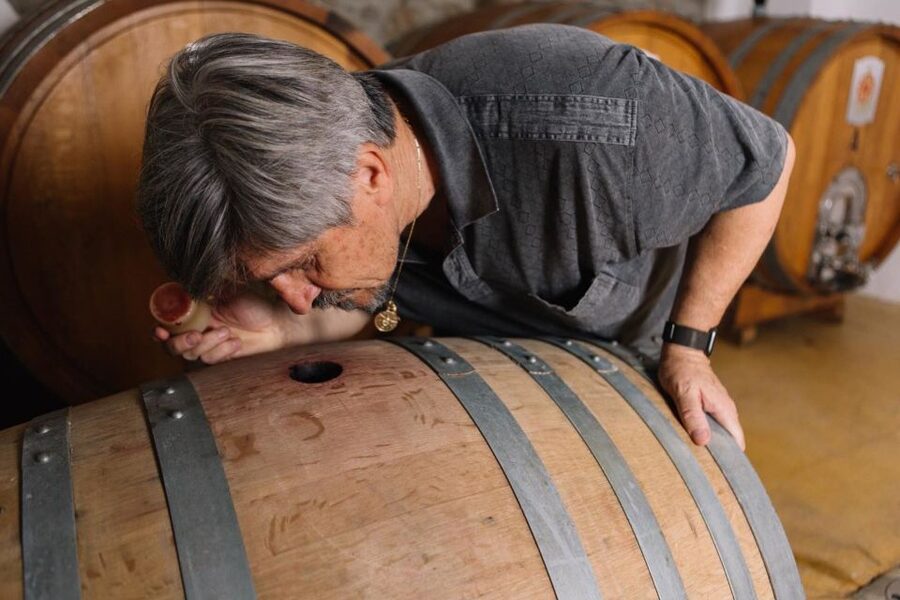 Olbia: Gallura Winery Guided Tour with Tasting - The tasting: three wines and a Sardinian table