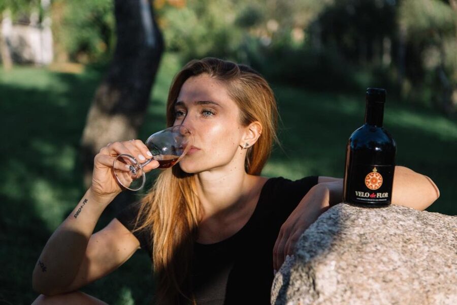 Olbia: Gallura Winery Guided Tour with Tasting - How the 90-minute schedule works