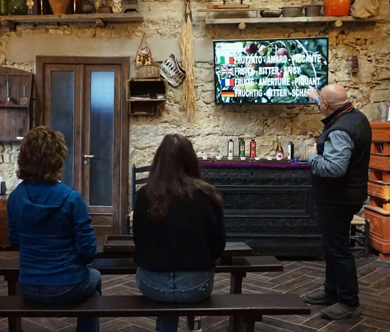 Olive Oil Museum: Extravirgin school - Food & wine tasting - Key points to know before you go
