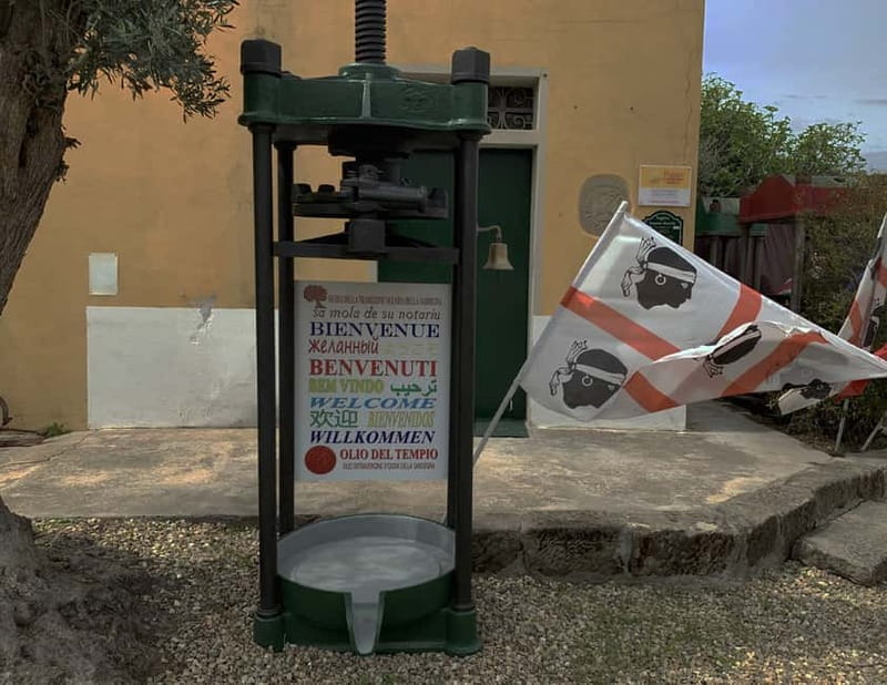 Olive Oil Museum: Extravirgin school - Food & wine tasting - A Sardinian oil lesson with a useful takeaway