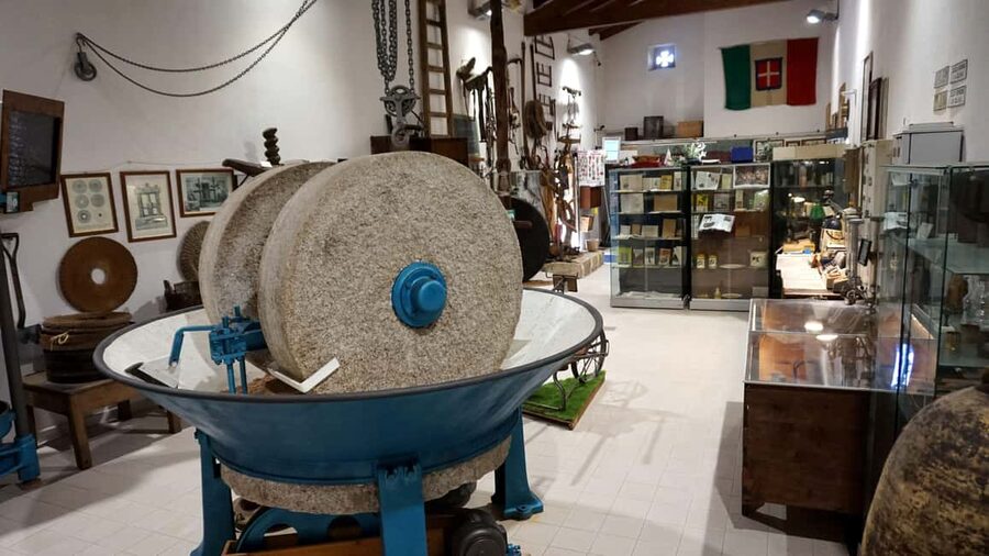 Olive Oil Museum: Extravirgin school - Food & wine tasting - Stop 3: the old museum and its underground cistern