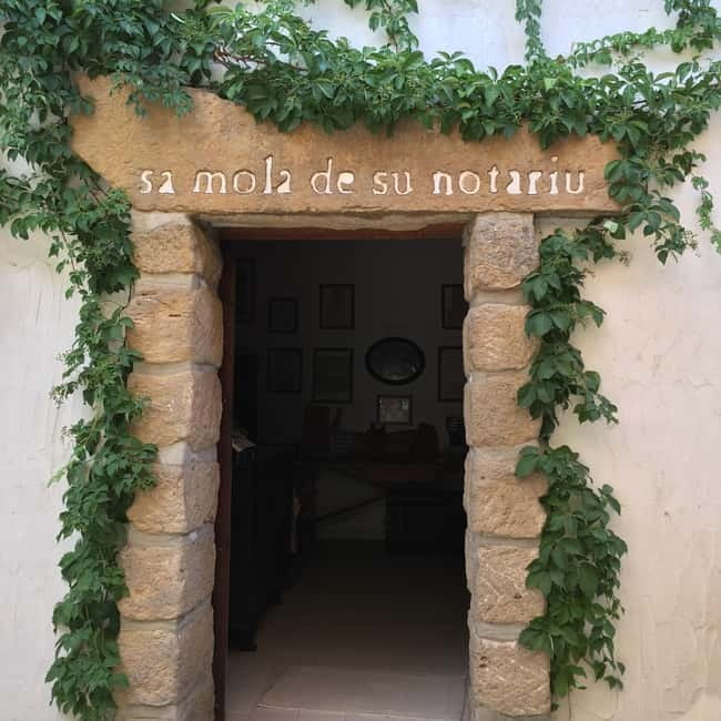 Olive Oil Museum: Extravirgin school - Food & wine tasting - Limolio, Rogo del Tempio, and the flavor comparison