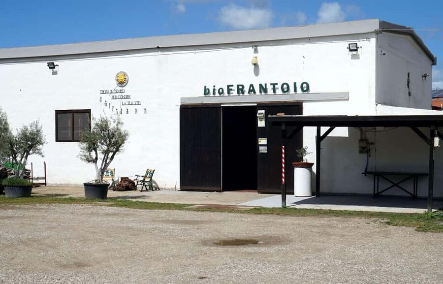 Olive Oil Museum: Extravirgin school - Food & wine tasting - Stop 1: arriving at Sa Mola de Su Notariu