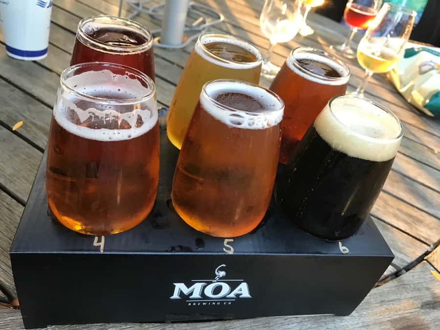Onshore Highlights of Marlborough's Wine Region from Picton - Key points to know before you book