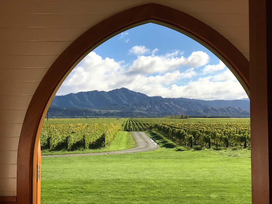 Onshore Highlights of Marlborough's Wine Region from Picton - Group size, comfort, and the cruise schedule