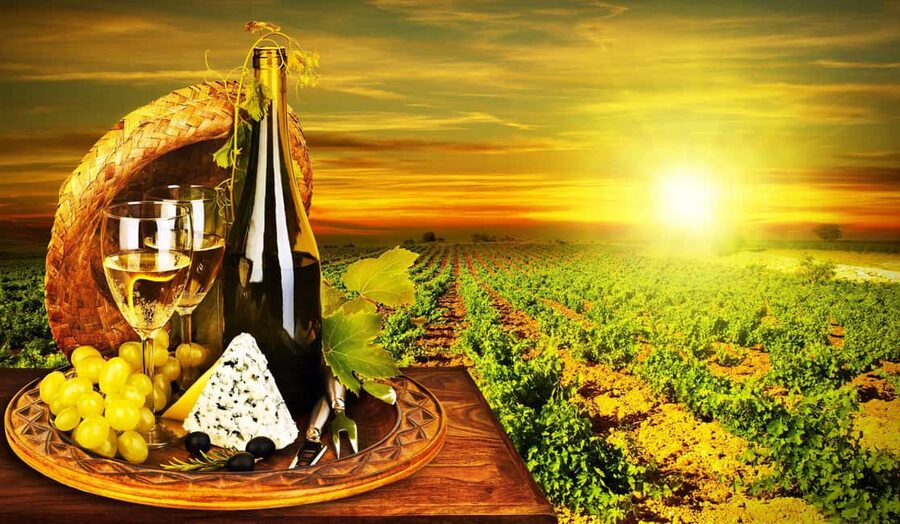 Organic Wine Tasting with Saint paul Half Day Tour from Nice - From Nice to two very different Provençal stops