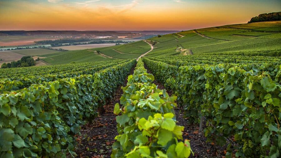Organic Wine Tasting with Saint paul Half Day Tour from Nice - Saint Jeannet and the small winery experience