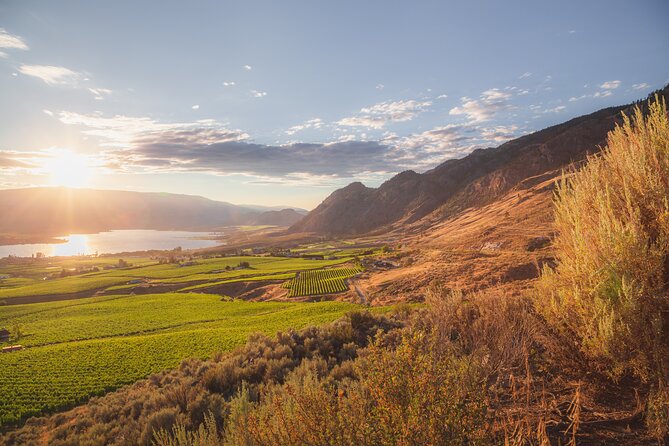 Osoyoos Half Day Wine Tour (Incl. Tasting Fees & Guide Gratuity!) - A four-hour route that keeps the driving simple