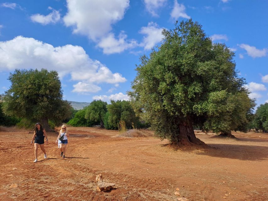 Ostuni: Guided e-bike tour + countryside tasting stop - Why this ride shows you the real Ostuni