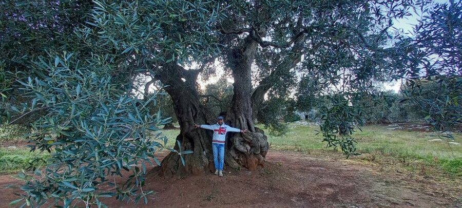 Ostuni: Guided e-bike tour + countryside tasting stop - Who should book this Ostuni e-bike tour?
